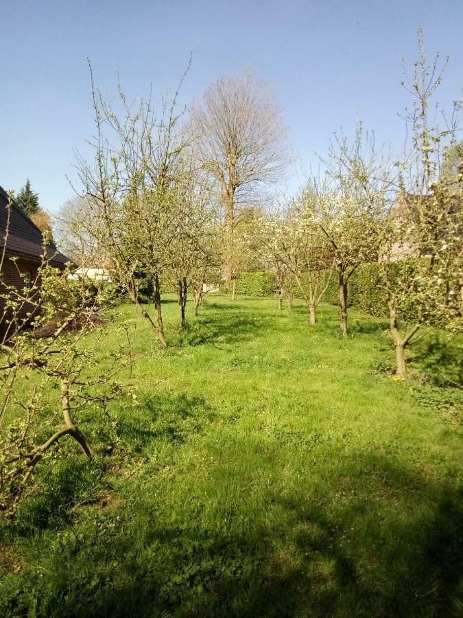 Gite Du Montagnard Oxelaere Exteriör bild